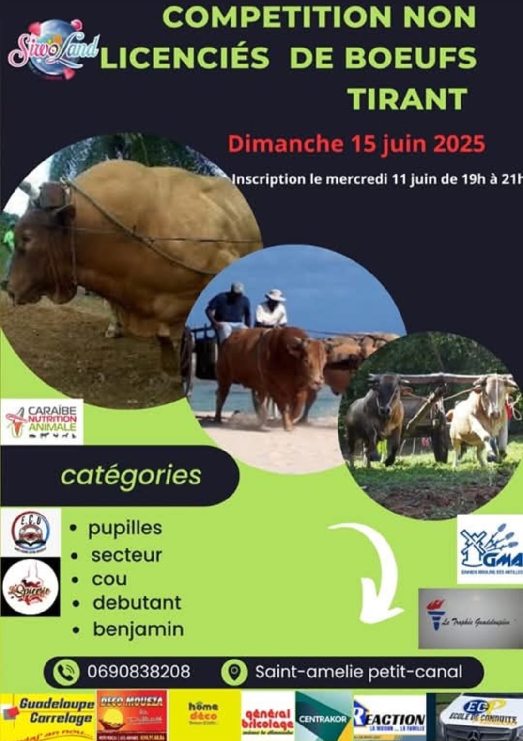 Compétitions de boeufs tirants non licenciés