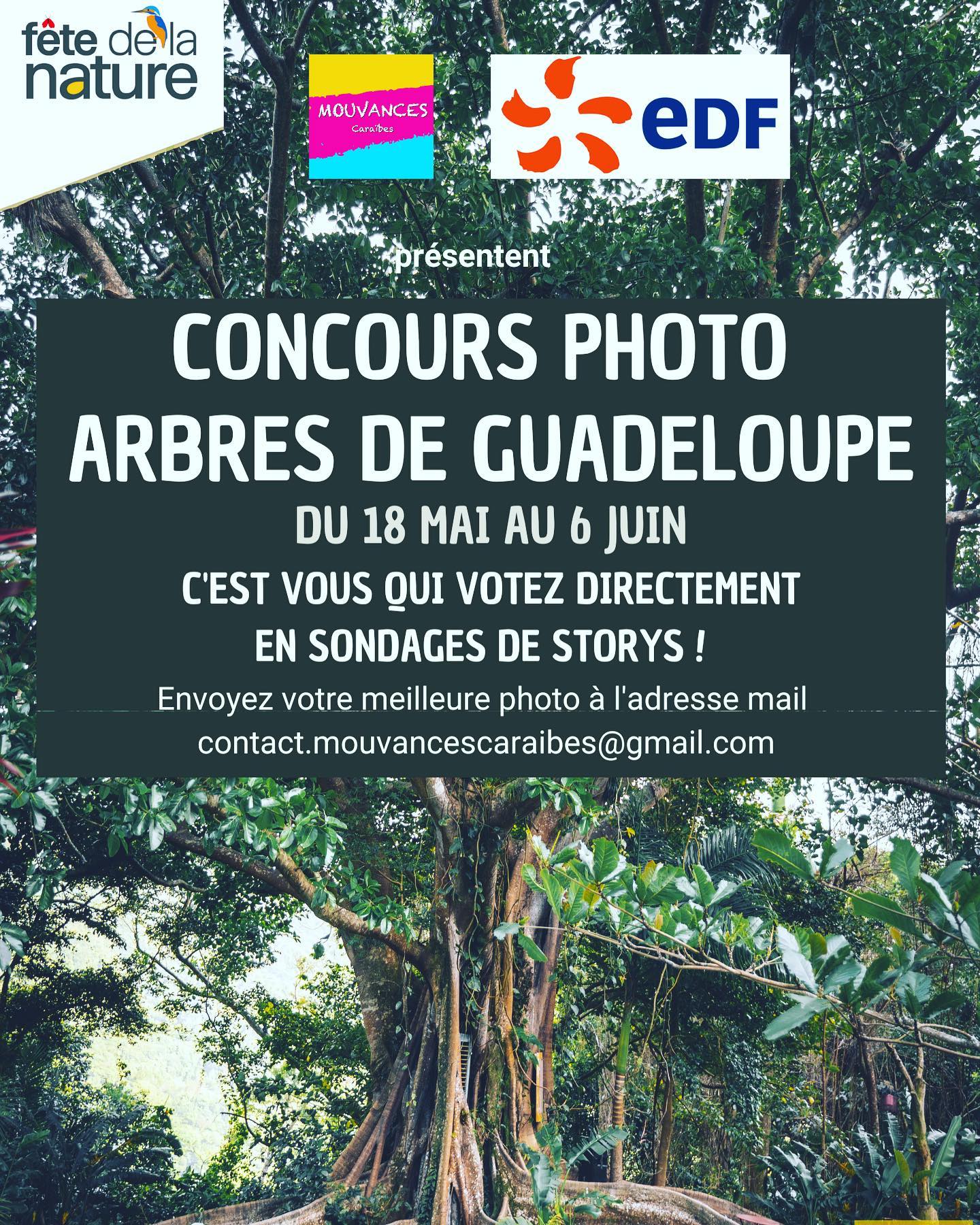 Concours Photo (Mouvances Caraibes)