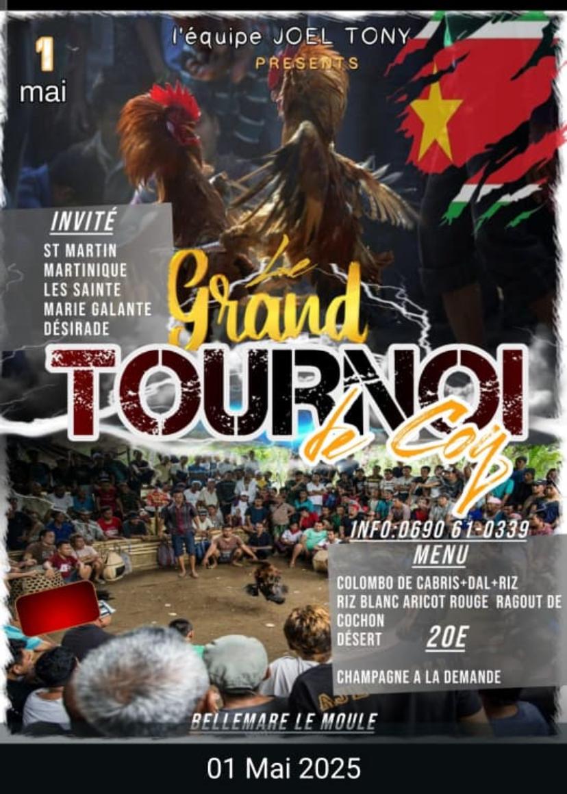 Grand tournoi de Coq