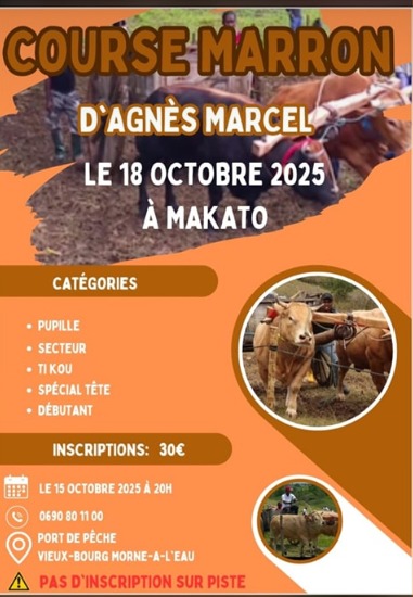 Course marron