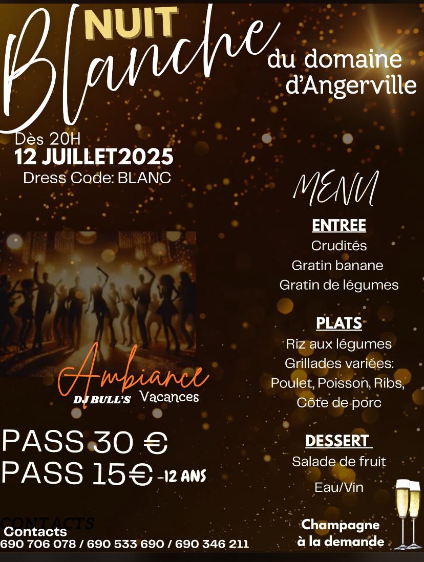 Nuit blanche du Domaine D'Angerville