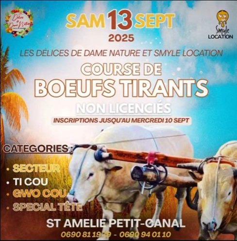 Course marron