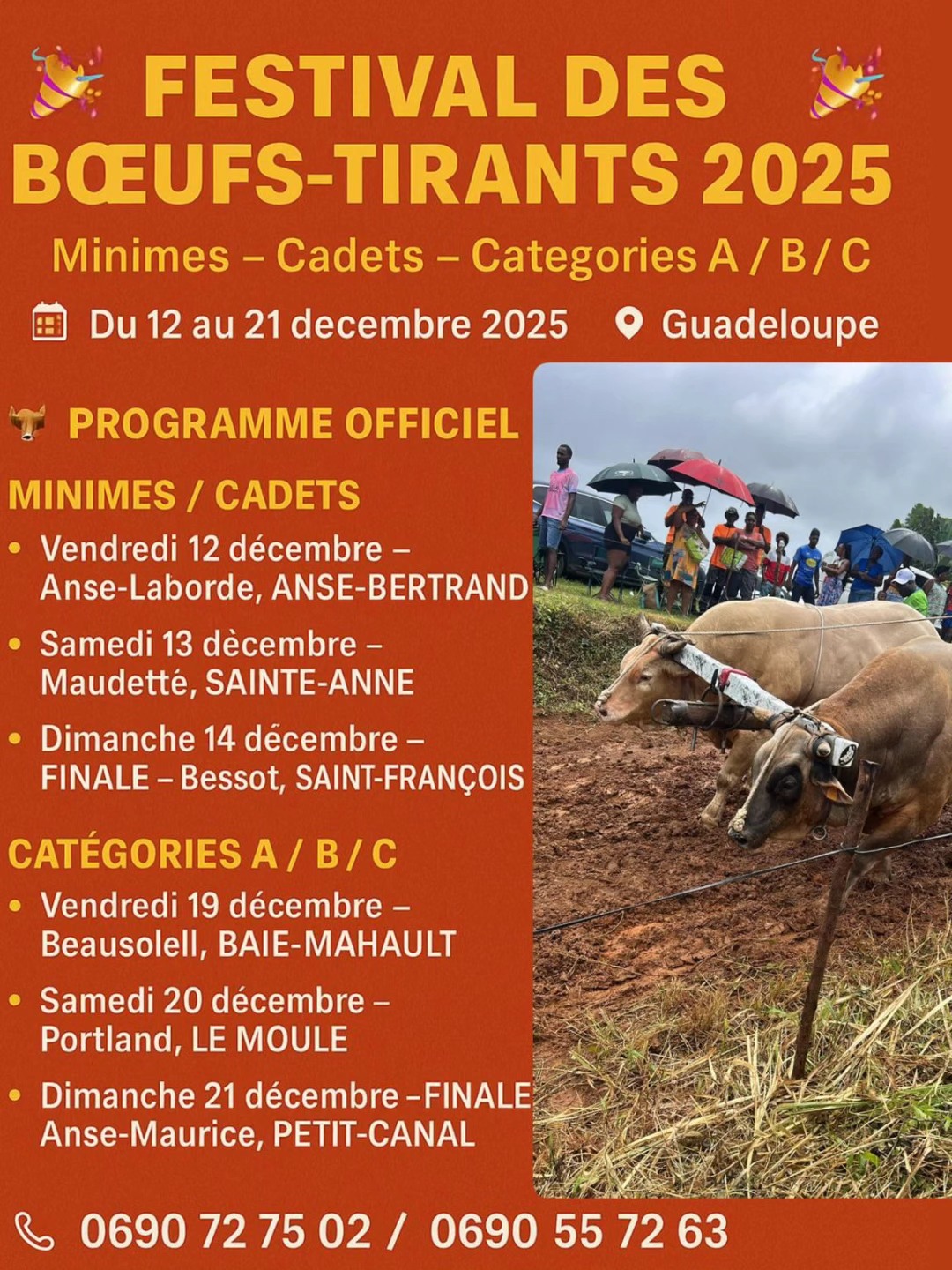 Festival des boeufs Tirants