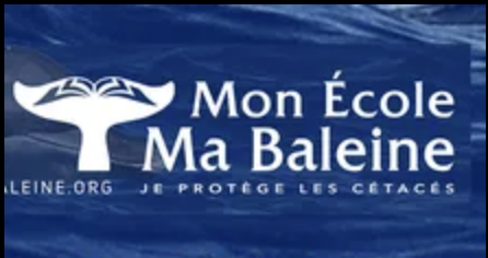 Mon école ma Baleine
