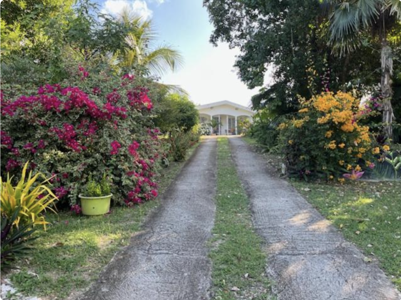 Le Jardin Des Anges
